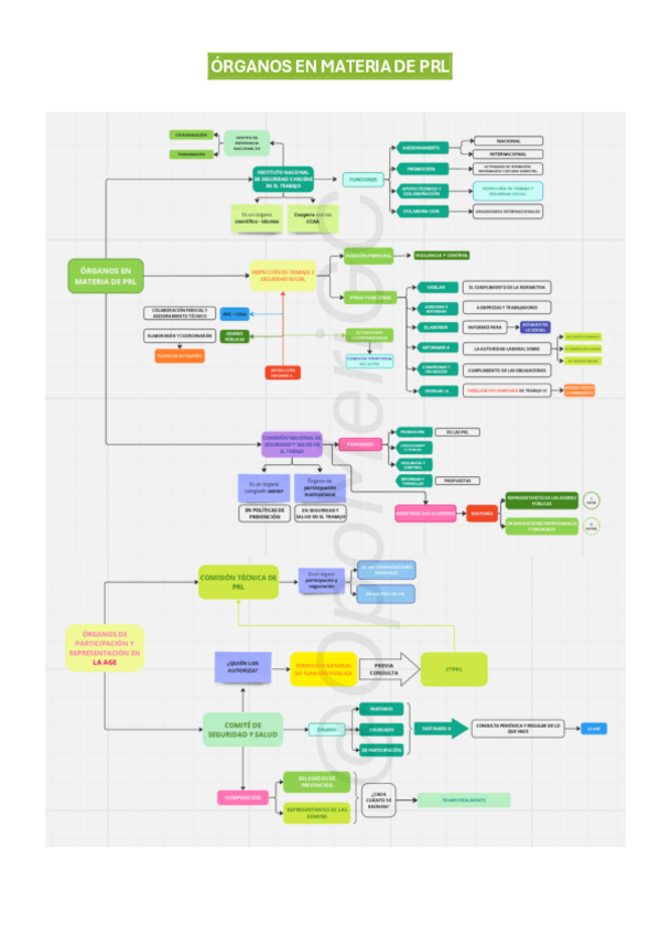 Miniatura del documento ORGANOS-EN-MATERIA-DE-PRL.pdf