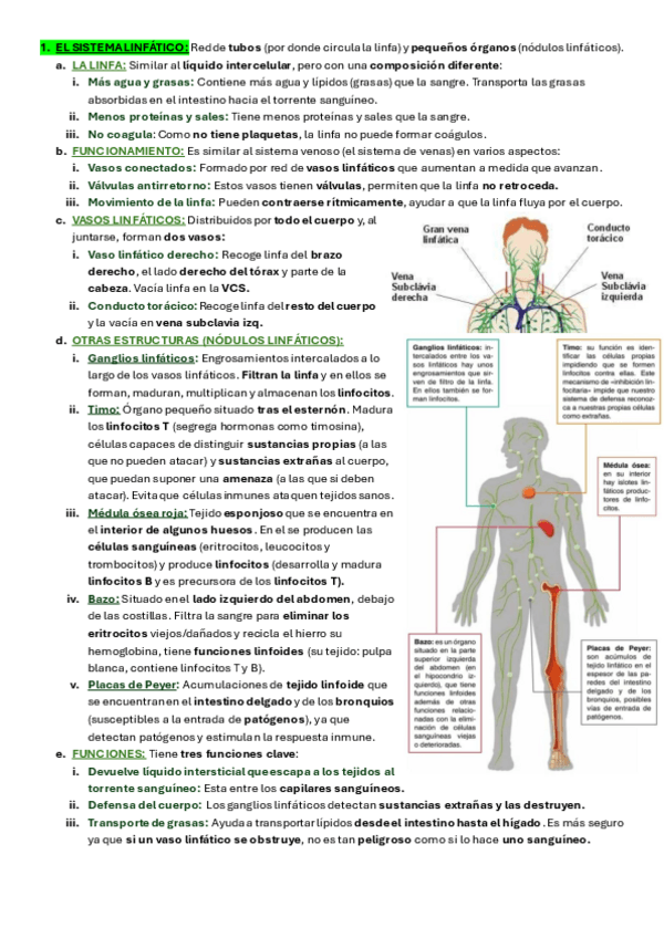 Miniatura del documento EL-SISTEMA-LINFATICO.pdf