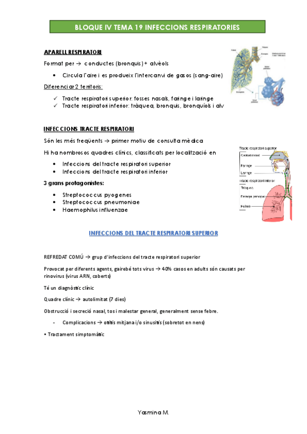 Miniatura del documento MICROBIOLOGIA-BLOQUES-345.pdf