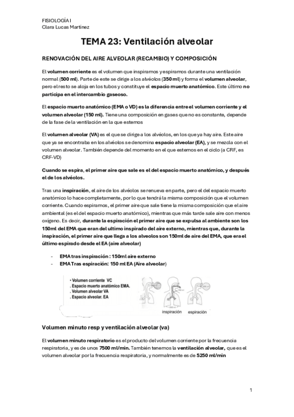 Miniatura del documento TEMA-23.-Ventilacion-alveolar.pdf