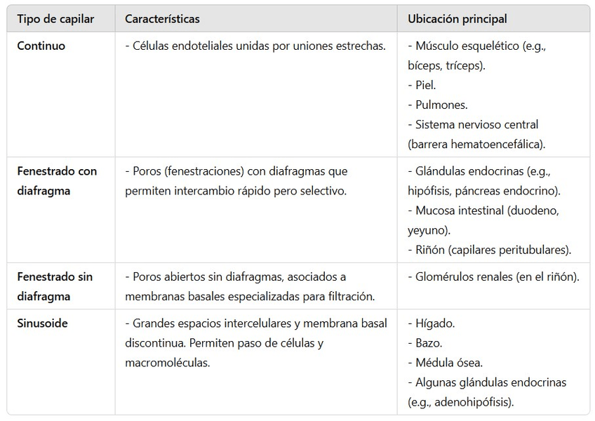 Miniatura del documento Comparacion-capilares.jpg