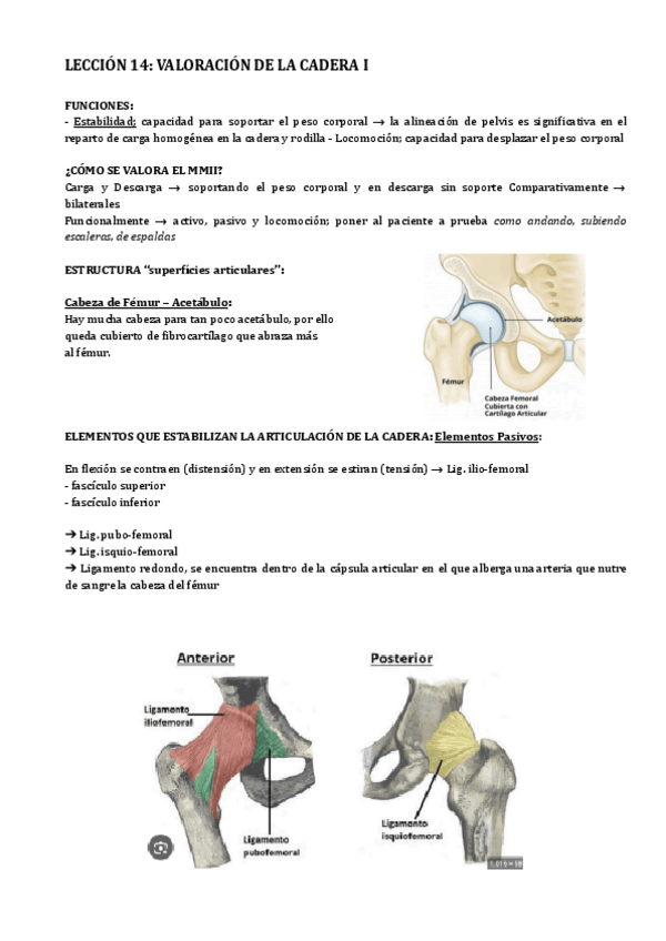 Miniatura del documento temas 14-29.pdf