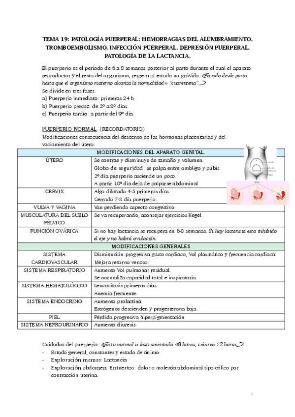 Miniatura del documento 19.-PATOLOGIA-PUERPERAL.pdf
