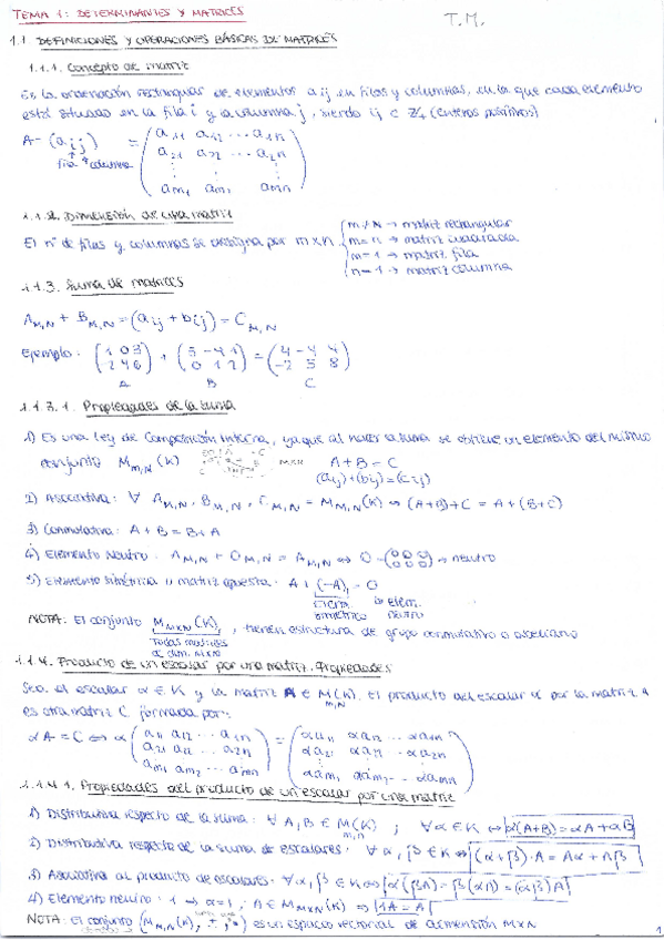 Miniatura del documento Algebra Tema 1.pdf