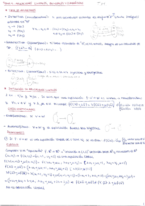 Miniatura del documento Algebra Tema 4.pdf