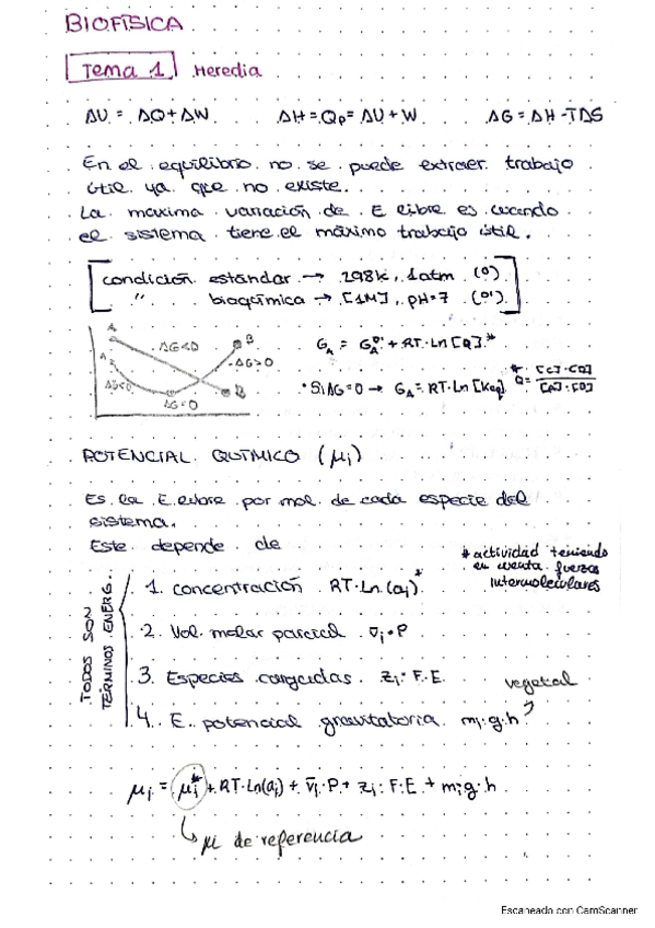 Miniatura del documento RESUMEN-TODOS-LOS-TEMAS.pdf