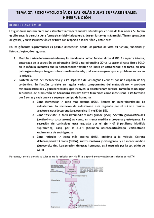 Miniatura del documento Tema-27-PG-Glandulas-suprarrenales.pdf