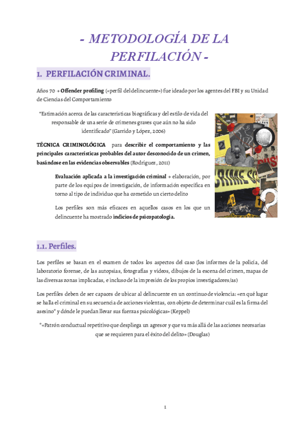 Miniatura del documento 6-Metodologia-de-la-perfilacion..pdf