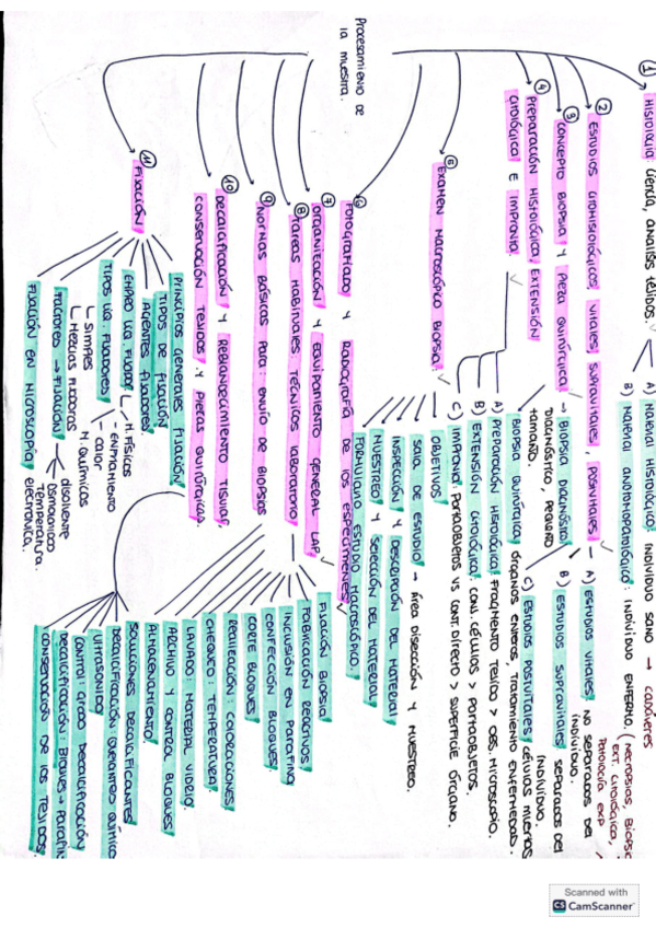Miniatura del documento ESQUEMAS-TEMA-1.pdf