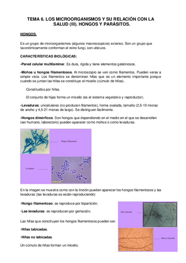 Miniatura del documento 6..pdf