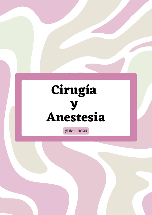 Miniatura del documento Prácticas cirugía y anestesia (examen).pdf