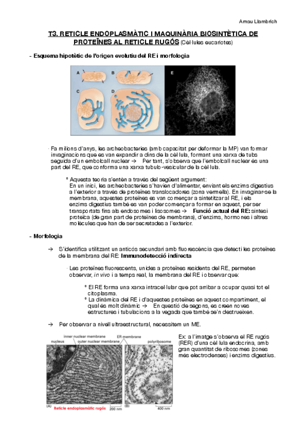Miniatura del documento Apunts Biologia Cel·lular (T3 i T4).pdf