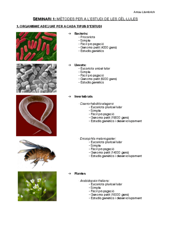Miniatura del documento Seminari 1 Biologia Cel·lular. Microscopia.pdf