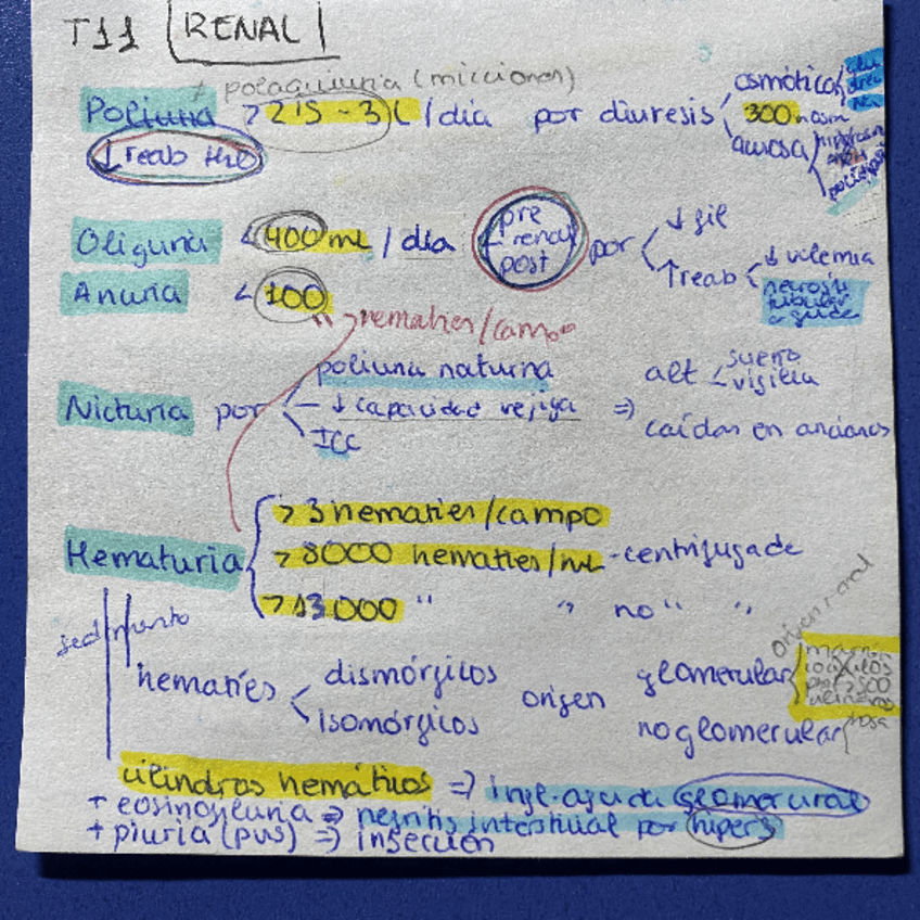 Miniatura del documento Esquemas-PG-Renal-Tema-11-15.pdf