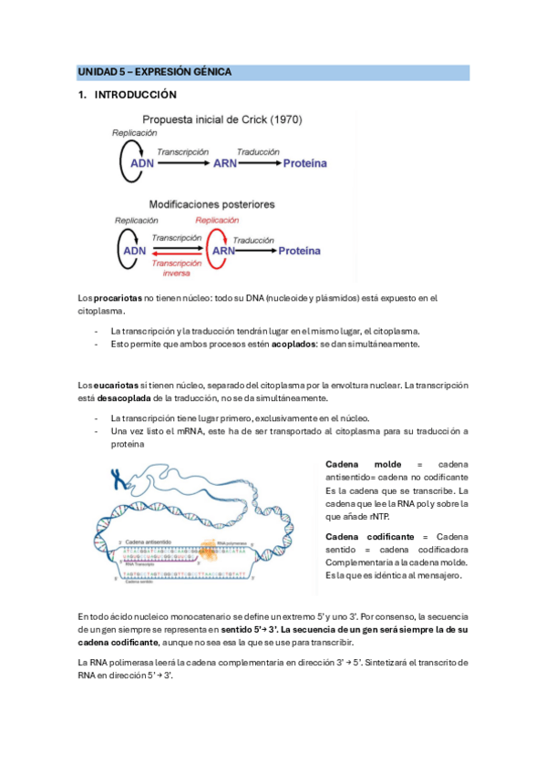 Miniatura del documento UNIDAD-5-EXPRESIONGENICA.pdf