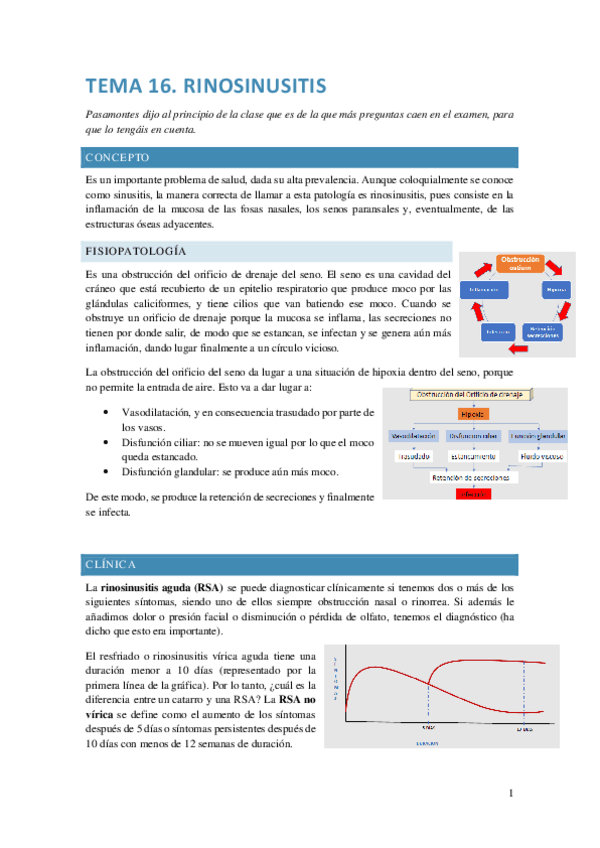Miniatura del documento RINOSINUSITIS.pdf