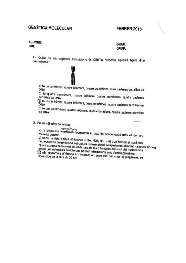 Miniatura del documento Examen-final-genetica-molecular.pdf