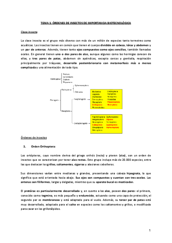 Miniatura del documento TEMA-1-ORDENES-DE-INSECTOS.pdf