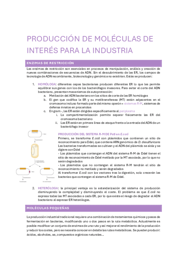 Miniatura del documento TEMA-11-y-12-PRODUCION-DE-MOLECULAS-DE-INTERES.pdf