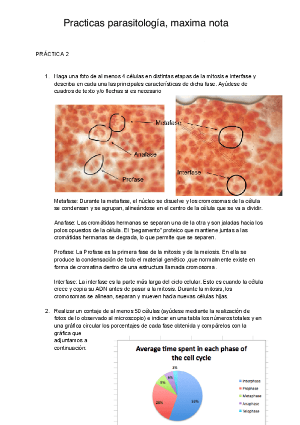 Miniatura del documento Practicas-Parasitologia.pdf
