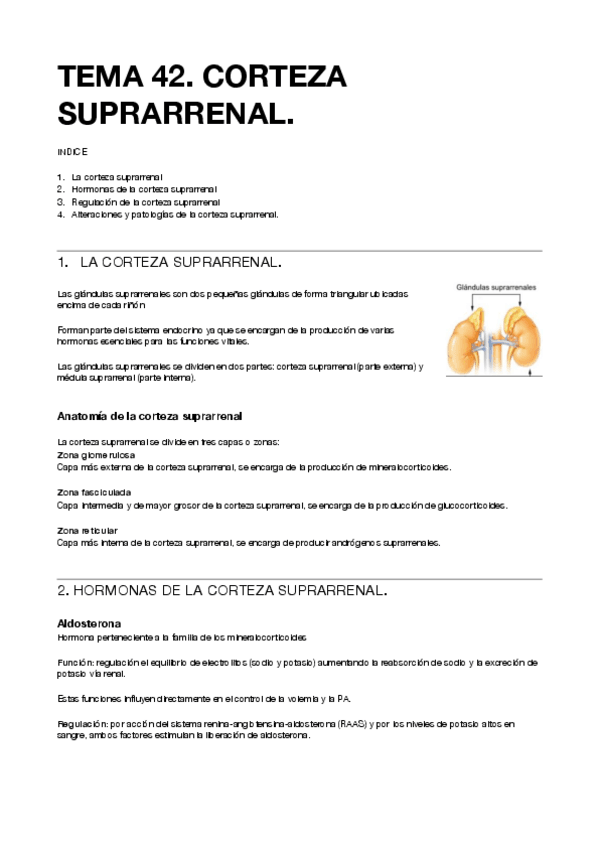 Miniatura del documento T42-Corteza-suprarrenal.pdf
