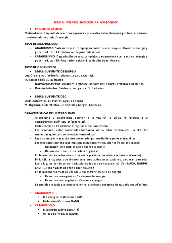 Miniatura del documento TEMA-8-ANABOLISMO.pdf