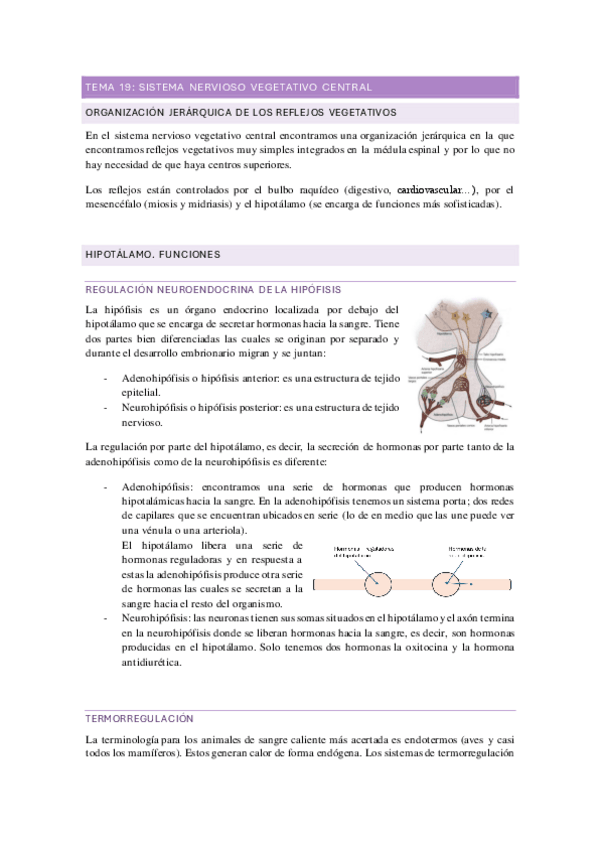 Miniatura del documento TEMA-19-SNV-central.pdf