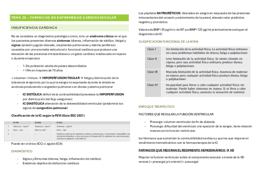 Miniatura del documento TEMA-28-CV.pdf