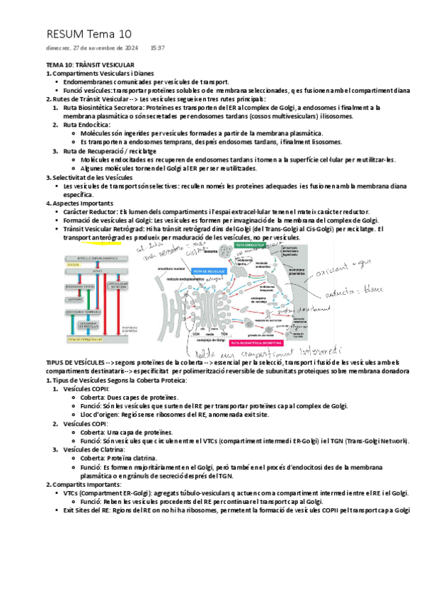 Miniatura del documento TEMA-10-TRANSIT-VESICULAR.pdf