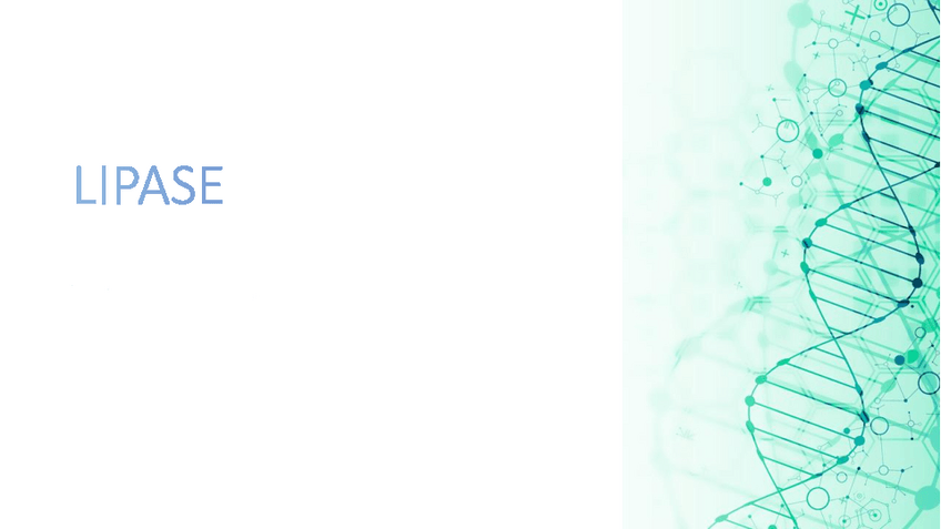Miniatura del documento Presentacion-bq-lipasa.pdf
