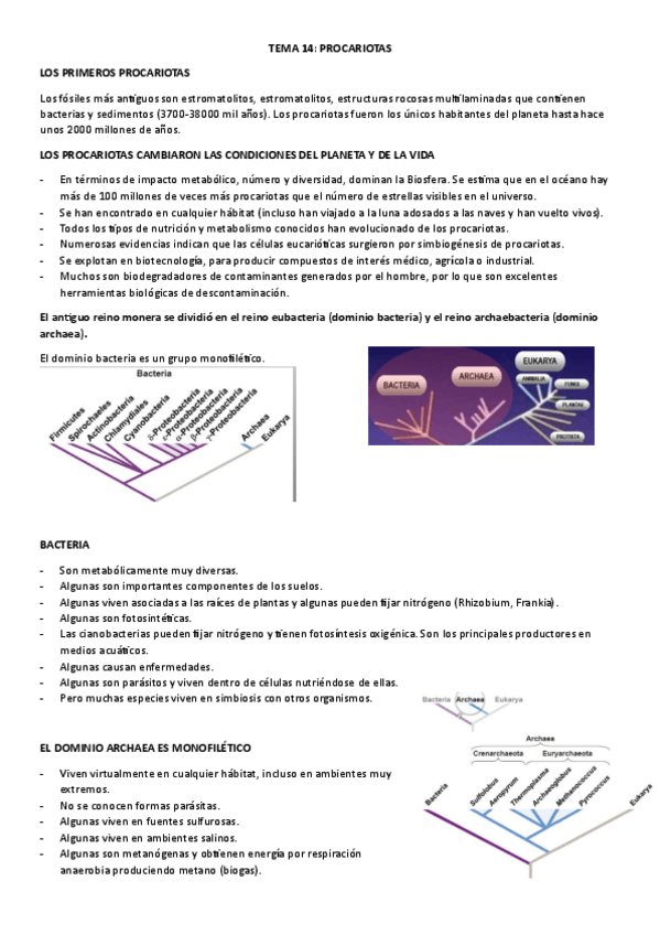 Miniatura del documento TEMA-14-PROCARIOTAS.pdf