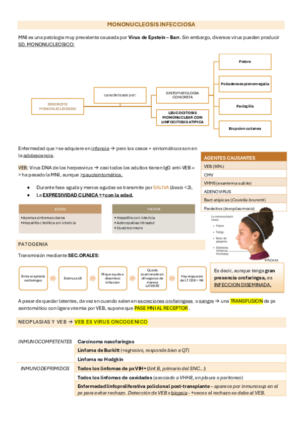 Miniatura del documento T4.-MONONUCLEOSIS-INFECCIOSA.pdf