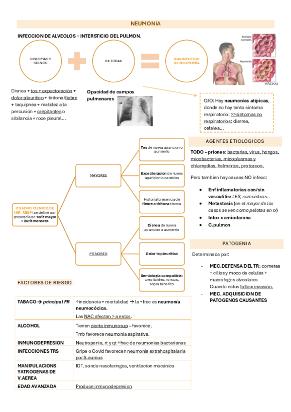 Miniatura del documento T16.-Neumonia.pdf