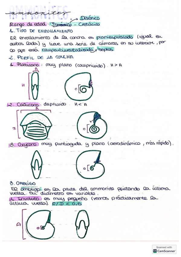 Miniatura del documento Fosiles-practicas.pdf