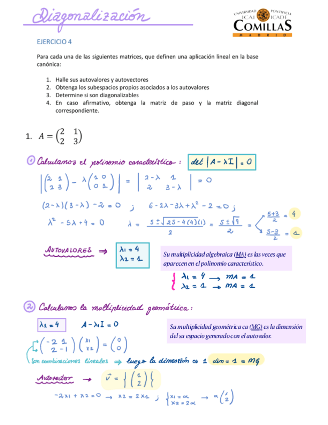 Miniatura del documento DiagICADE.pdf