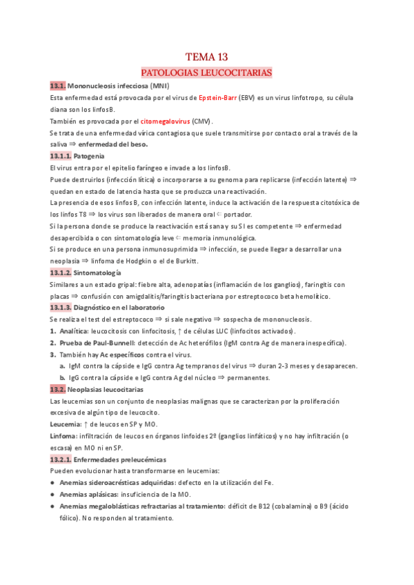 Miniatura del documento T.13-Hematologia.pdf