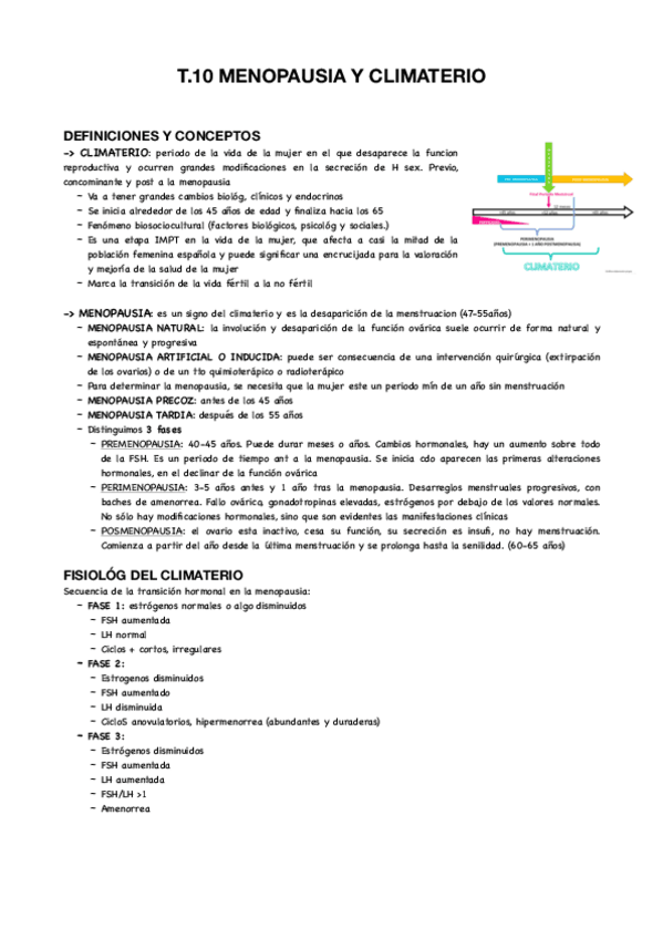 Miniatura del documento T10-materno.pdf