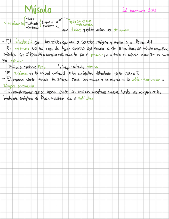 Miniatura del documento Musculo.pdf