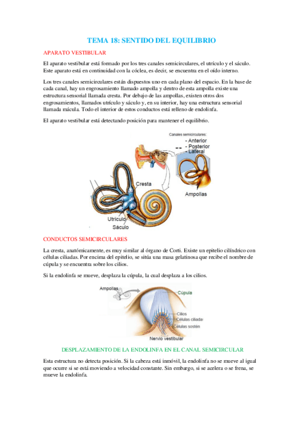 Miniatura del documento Tema 18.pdf