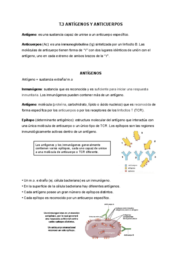 Miniatura del documento T.3-ANTIGENOS-Y-ANTICUERPOS.pdf