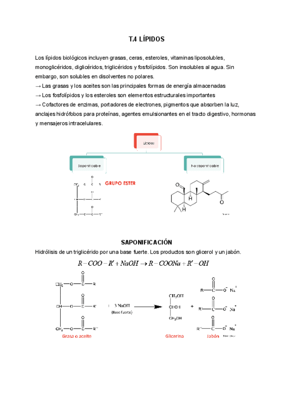 Miniatura del documento T.4-LIPIDOS.pdf