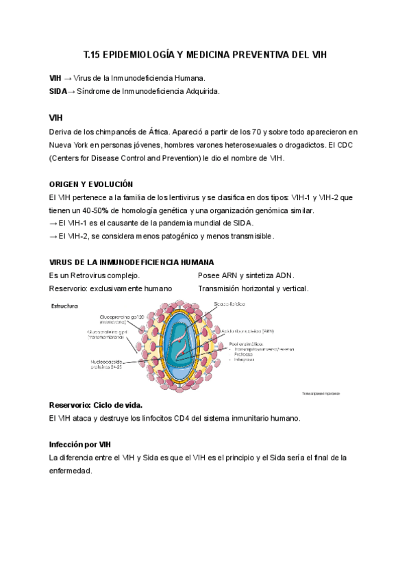 Miniatura del documento T.15-EPIDEMIOLOGIA-Y-MEDICINA-PREVENTIVA-DEL-VIH.pdf