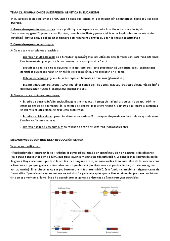 Miniatura del documento TEMA-12.-REGULACION-DE-LA-EXPRESION-GENETICA-EN-EUCARIOTAS.pdf