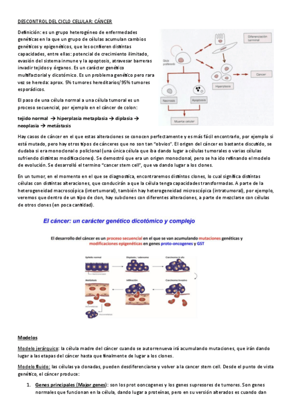 Miniatura del documento TEMA-19-B.-CANCER.pdf