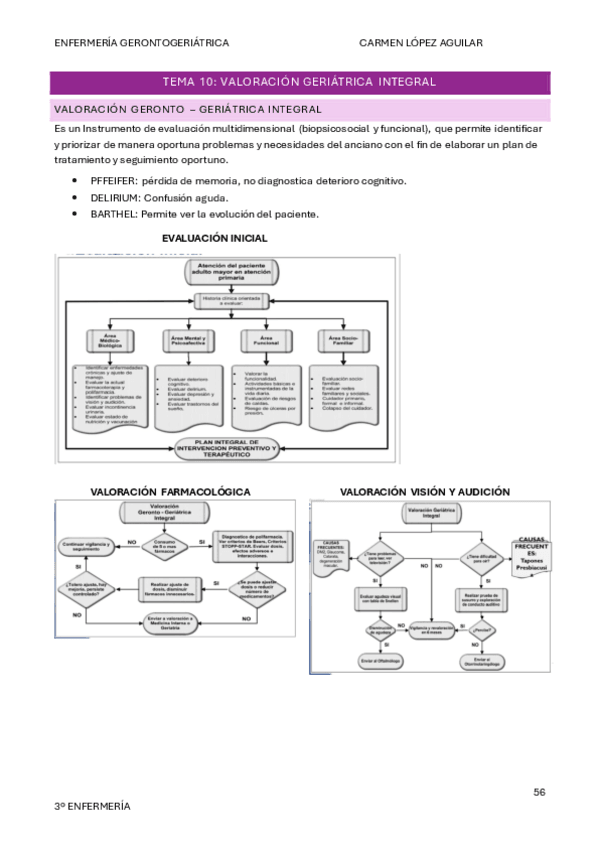 Miniatura del documento TEMA-10-COMPLETO.pdf