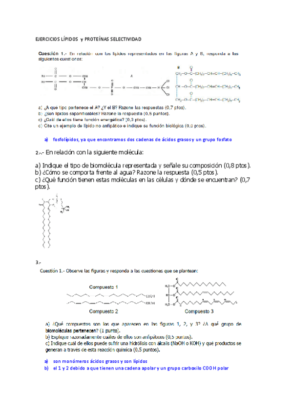 Miniatura del documento ejercicios-biomoleculas-con-soluciones.pdf