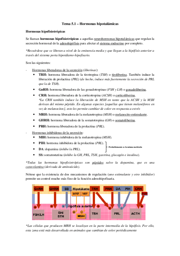 Miniatura del documento Tema 5.1 - Hipotálamo.pdf