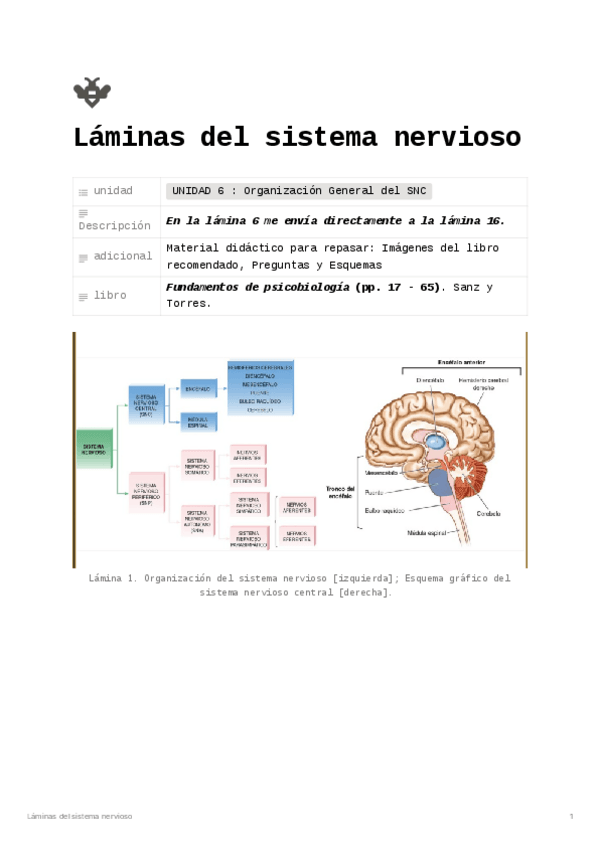 Miniatura del documento Tema-6-Laminas-Sistema-Nervioso.pdf