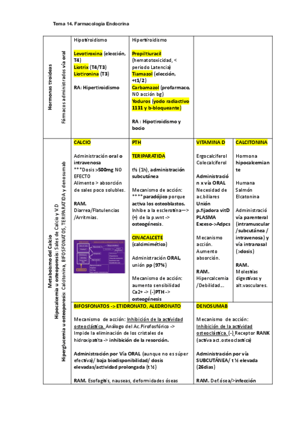 Miniatura del documento Tablas-FARMA-2425.pdf