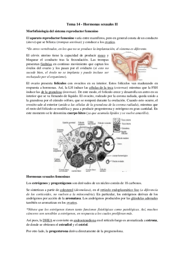 Miniatura del documento Tema 14 - Hormonas sexuales II.pdf